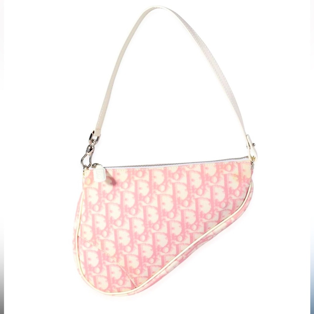 DIOR Trotter PINK Saddlebag